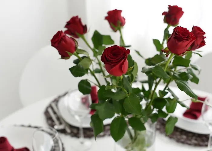 דירה Rusula זאדאר