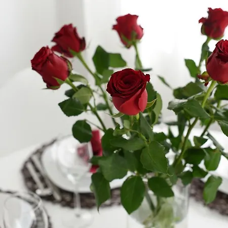 Appartement Rusula Zadar